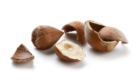 Hazelnut Stock Photos