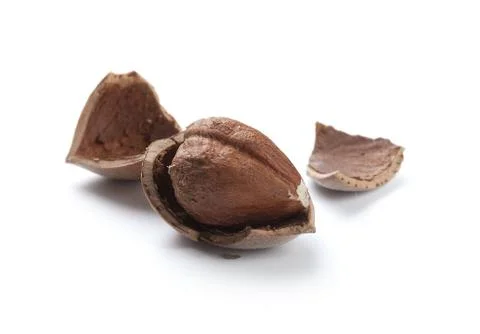 Hazelnut Stock Photos