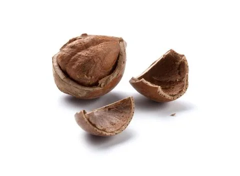 Hazelnut Stock Photos