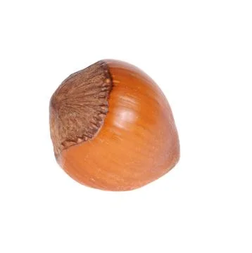Hazelnut Stock Photos