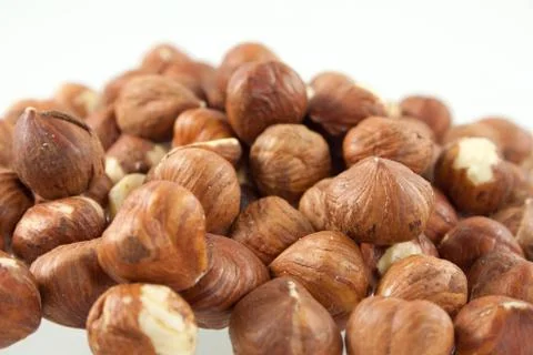 Hazelnut Stock Photos