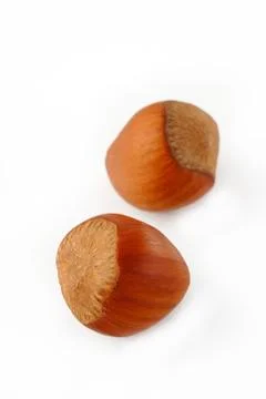 Hazelnut Stock Photos
