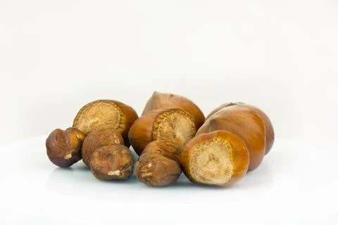 Hazelnut Foto stock