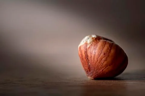 Hazelnut Stock Photos