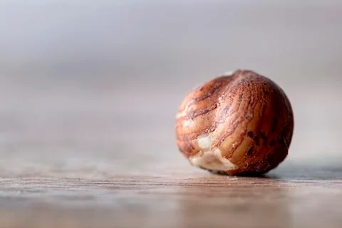 Hazelnut Stock Photos