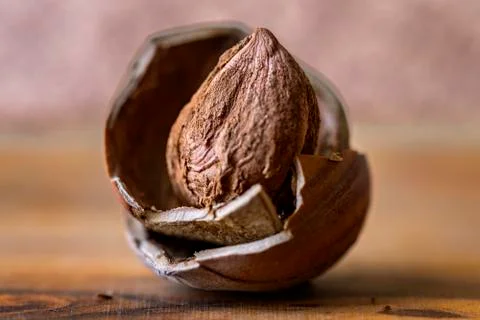 Hazelnut Stock-Fotos