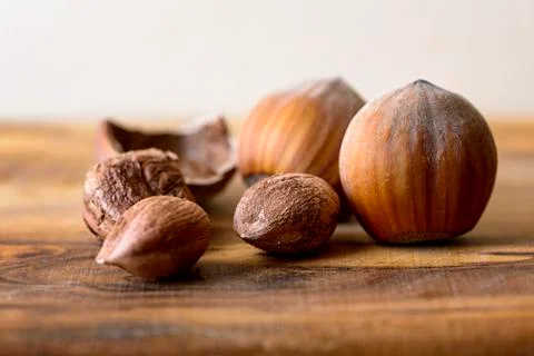 Hazelnut Stock Photos