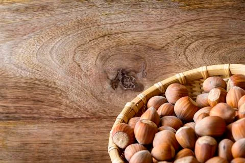 Hazelnut Stock Photos
