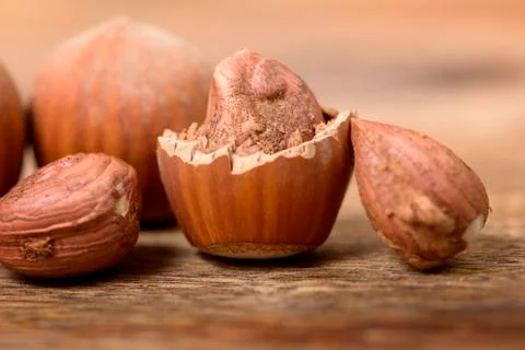 Hazelnut Stock Photos