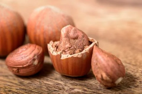 Hazelnut 스톡 사진