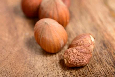 Hazelnut Fotos Stock