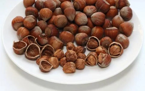Hazelnut Stock Photos