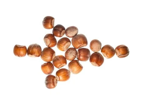 Hazelnut Photos