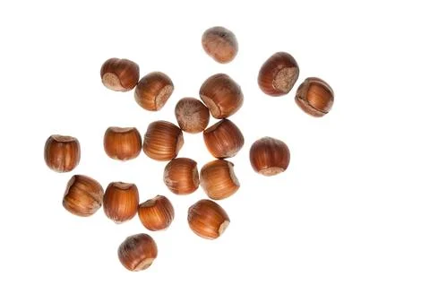 Hazelnut Foto stock