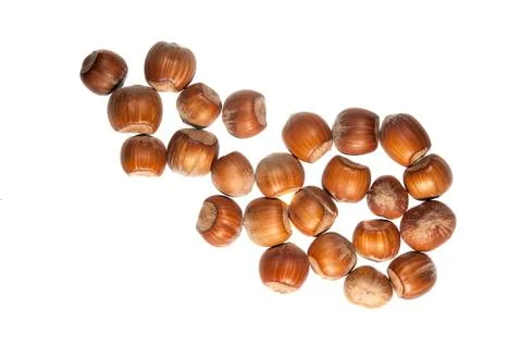 Hazelnut Foto stock