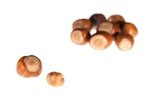 Hazelnut Foto stock