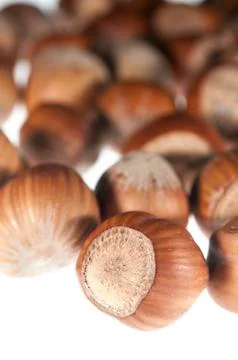 Hazelnut Stockfoto's