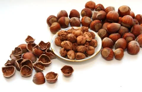 Hazelnut Stock Photos