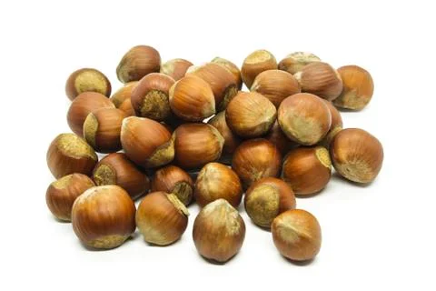 Hazelnut Stock Photos