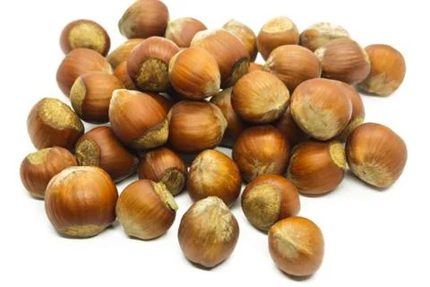 Hazelnut Stock Photos