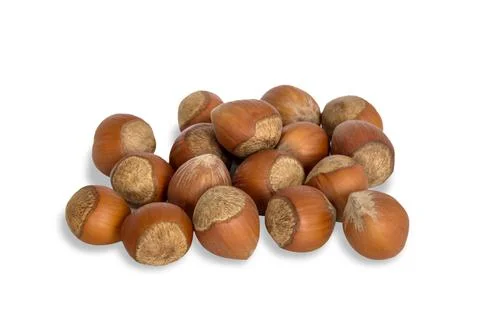 Hazelnut Stock Photos