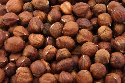 Hazelnut Stock Photos