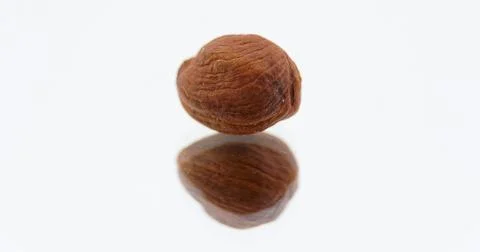 Hazelnut Stock Photos