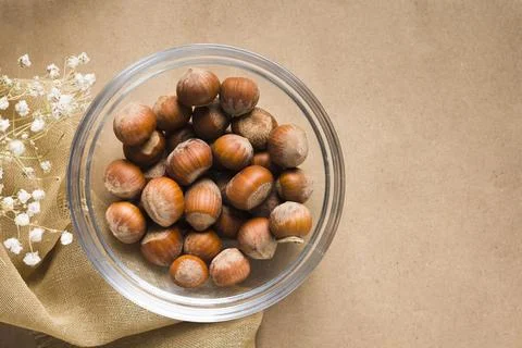 Hazelnut Stock Photos
