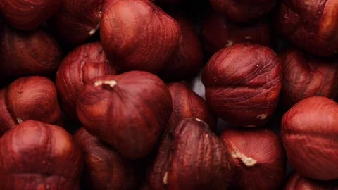 Hazelnut, rotation in circle. forest unpeeled walnut, Turning. selective focus. Stock Footage 280462279