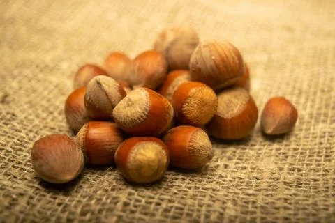 Hazelnut scattered on the background of burlap with a rough texture. Close up Stock Photos