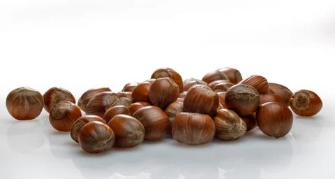 Hazelnut Scattering Stock Photos
