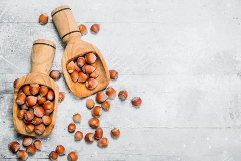 Hazelnut in the scoop. Stock Photos
