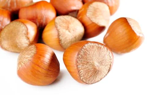 Hazelnut seed Stock Photos