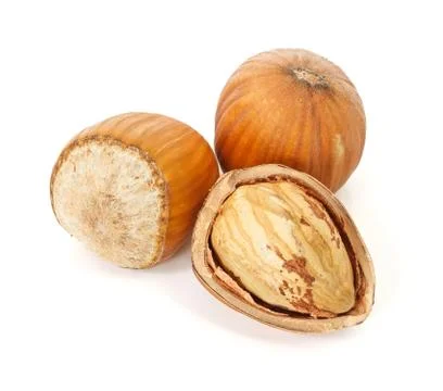 Hazelnut seeds Stock Photos