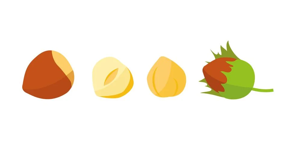 Hazelnut  set. Logo. Isolated hazelnut on white background Stock Illustration