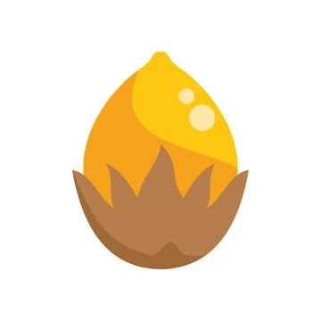 Hazelnut with shell growing on branch flat cartoon vector illustration Stock Illustration