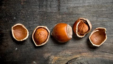 Hazelnut with shell . Stock Photos