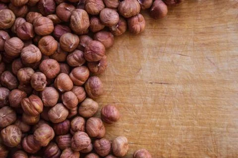Hazelnut, source of protein. Stock Photos