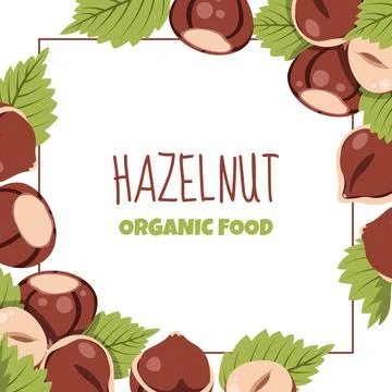 Hazelnut Square Frame with Green Leaves in Flat Style. Background for Creatin Stock Illustration