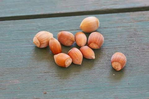 Hazelnut on a table Stock Photos