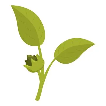 Hazelnut tree branch growing with green leaves and bud Stock Illustration