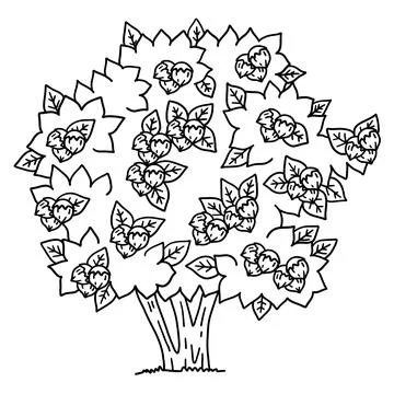 Hazelnut Tree Fruit Plant Isolated Coloring Page Stock Illustration