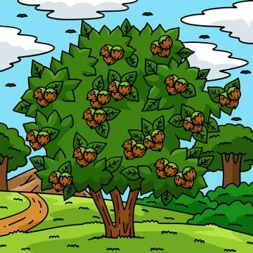 Hazelnut Tree Fruit Plant Nature Colored Cartoon Stock Illustration