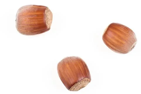Hazelnut trio Stock Photos