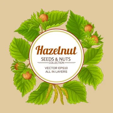 Hazelnut vector frame on color background Stock Illustration