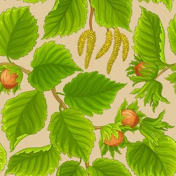 Hazelnut vector pattern on white background Illustrazione stock