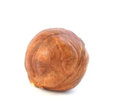 Hazelnut on white background Stock Photos