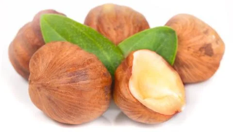 Hazelnut on white background Foto stock