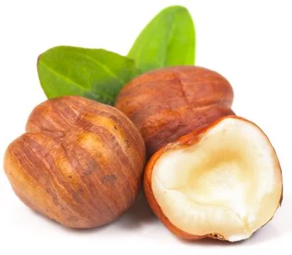 Hazelnut on white background Stock Photos