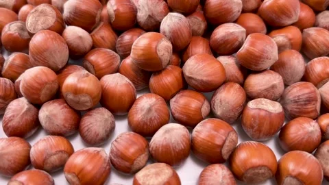 Hazelnut on white background in tracking pan in top view. Stock Footage 274018045